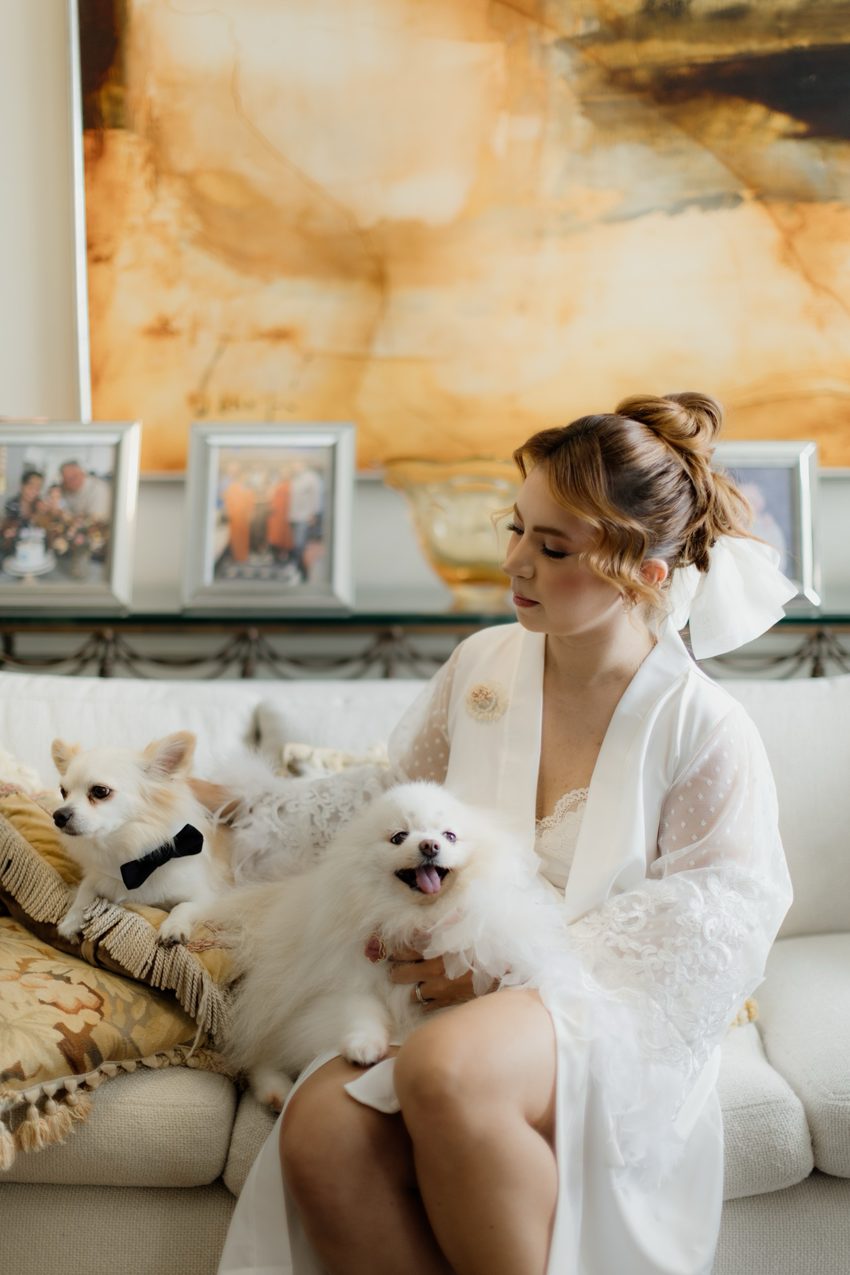 Robe no sofá com os dois cães